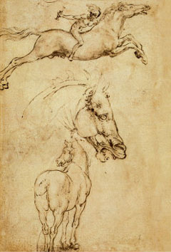 Sketch of a Horse